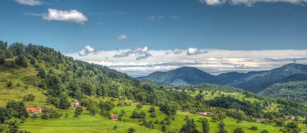 Gite Du Moulin Gunsbach Dış mekan fotoğraf